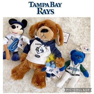 MLB Tampa Bay Rays Memorabilia